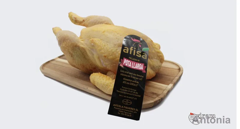Pollastre de pota llarga sencer